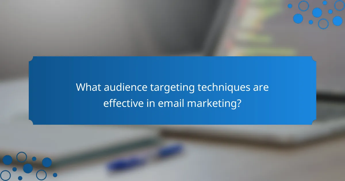 What audience targeting techniques are effective in email marketing?